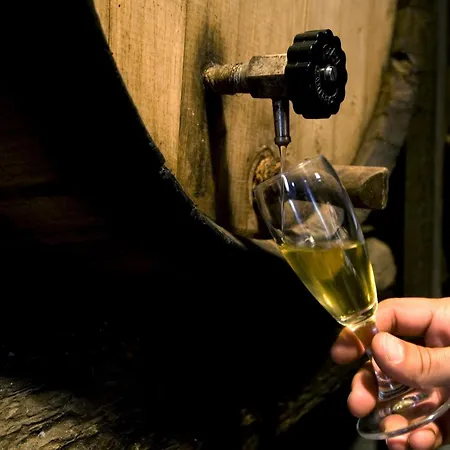 Lucrezia Riola Sardo