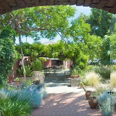 Lucrezia リオーラ・サルド